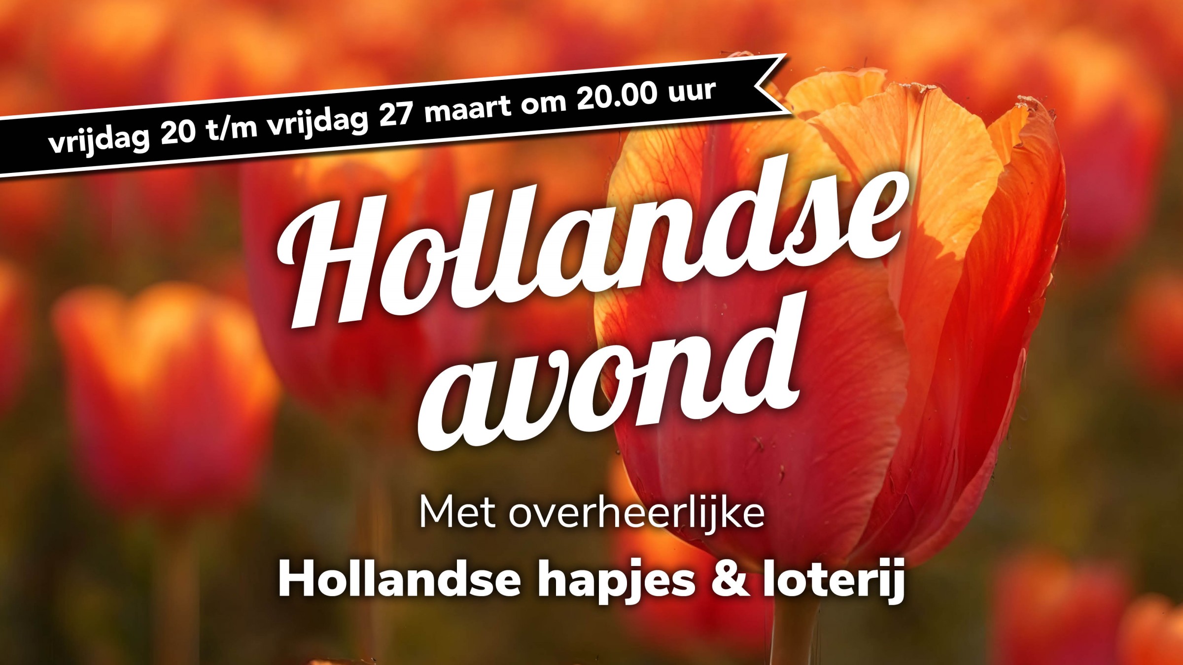 FL_Noordwh_NC+WEB_Hollandse avond.jpg