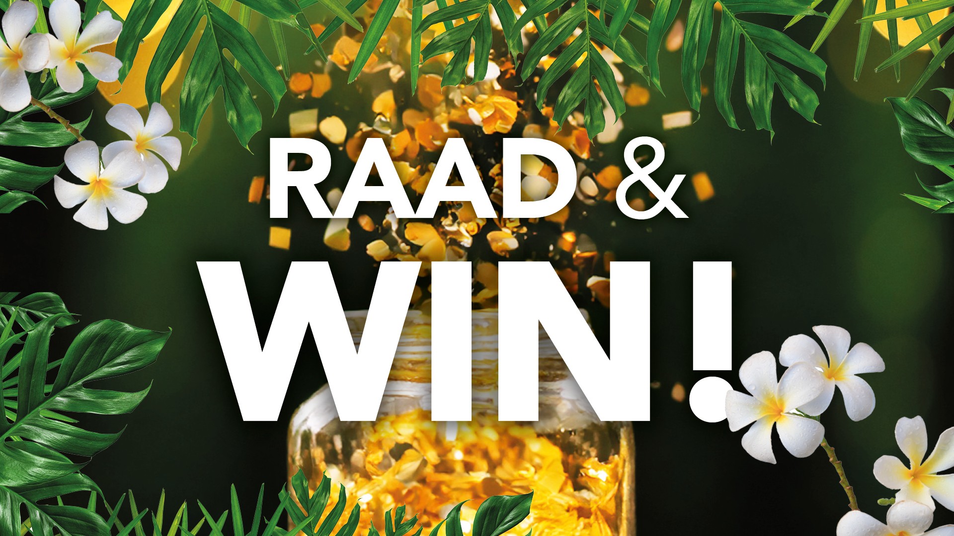 FL_Pakketacties_web_Raad&Win_14-21apr25.jpg
